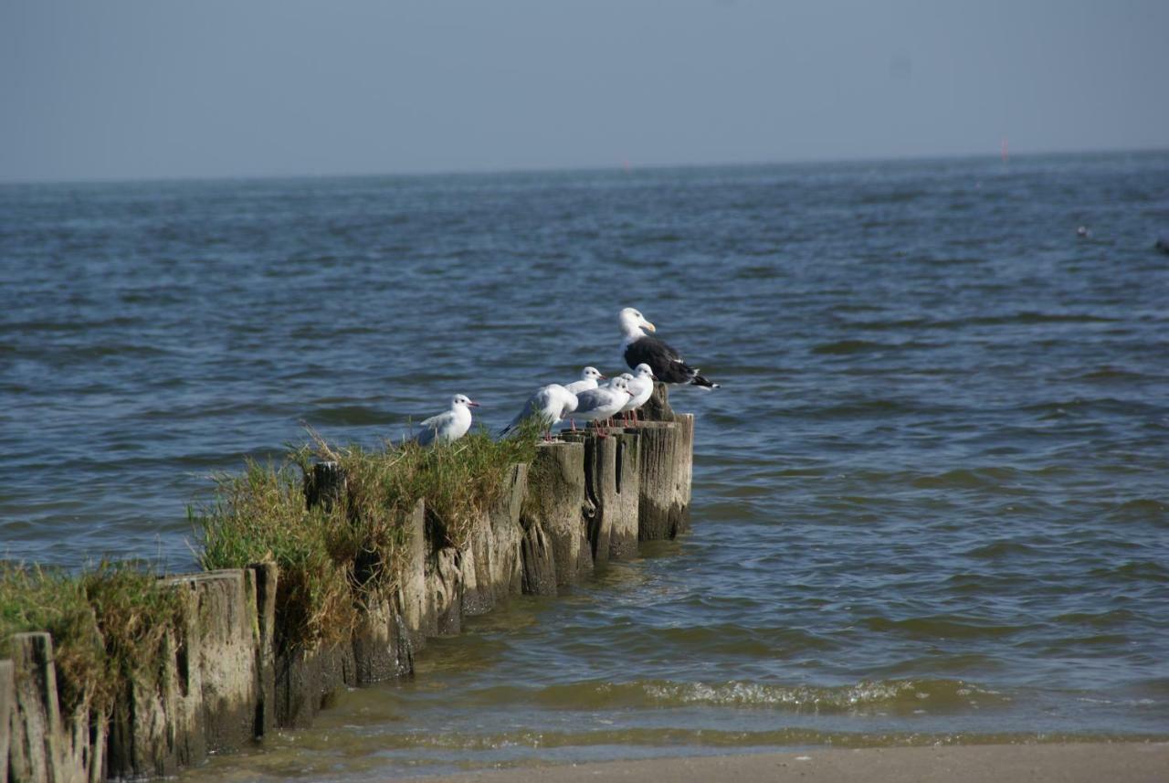 Ferienhaus "Strandgut" Ueckermünde Exterior foto